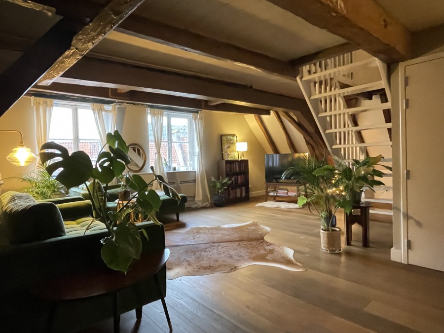 korianderstraat 01