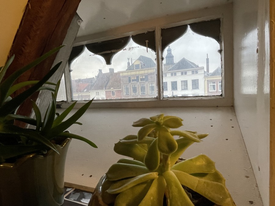 korianderstraat 01
