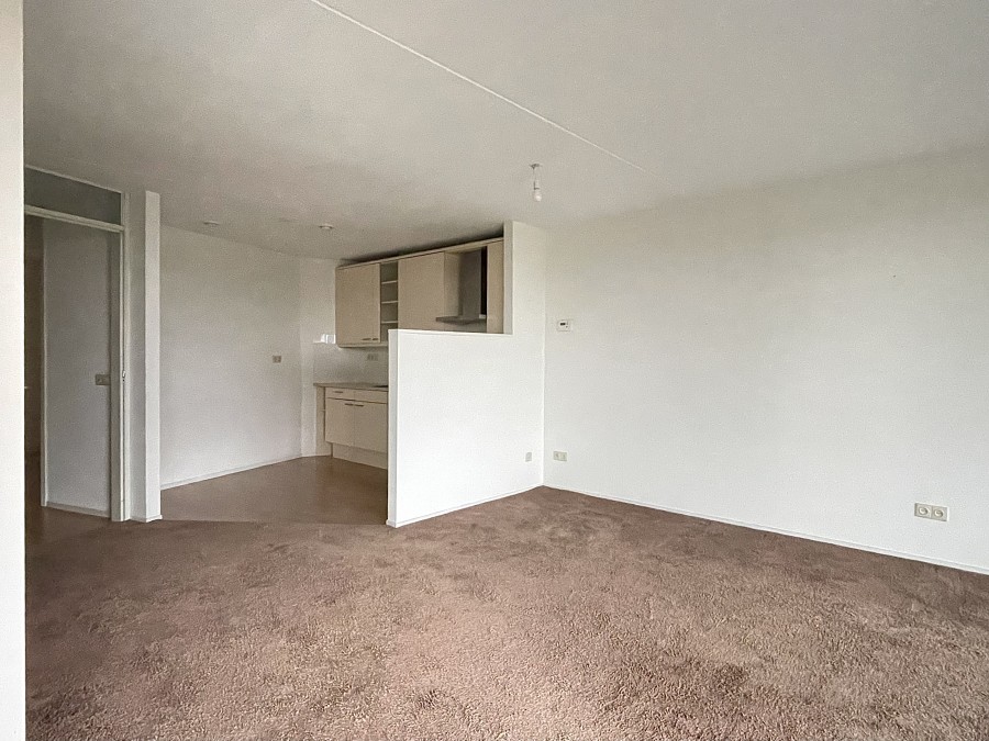 korianderstraat 01