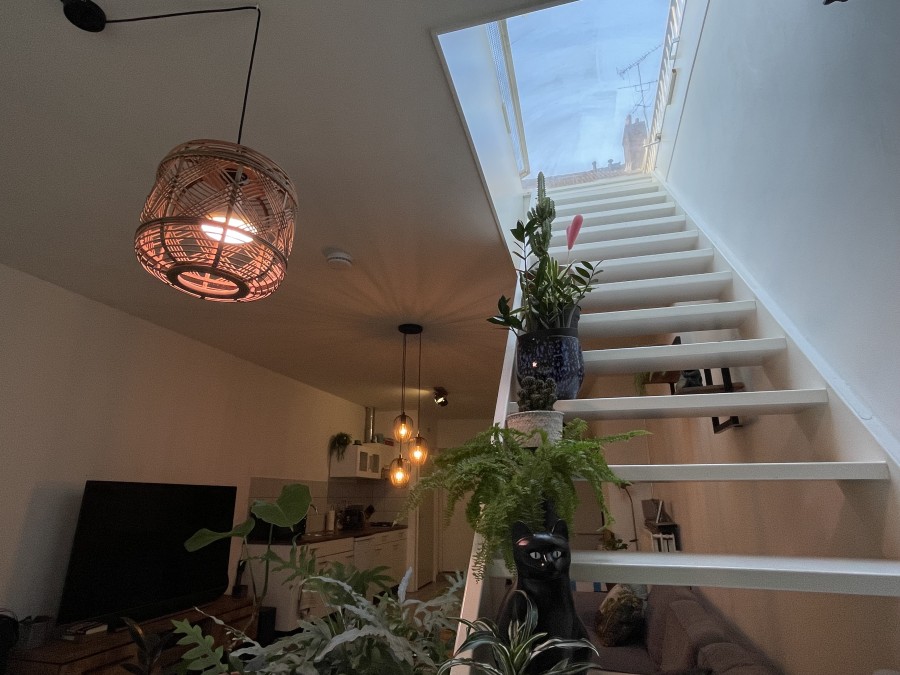 korianderstraat 01