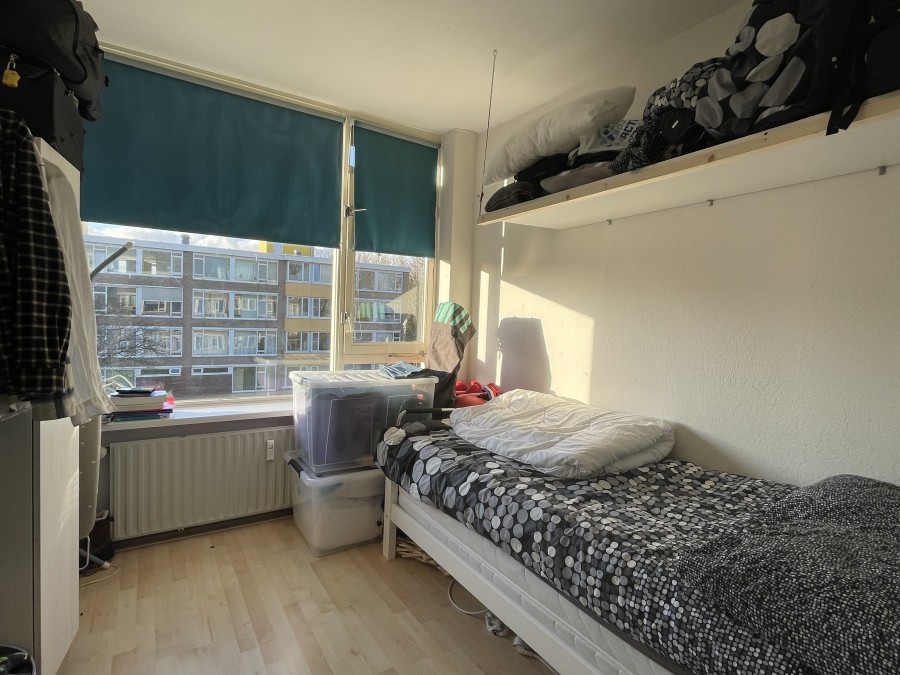 korianderstraat 01
