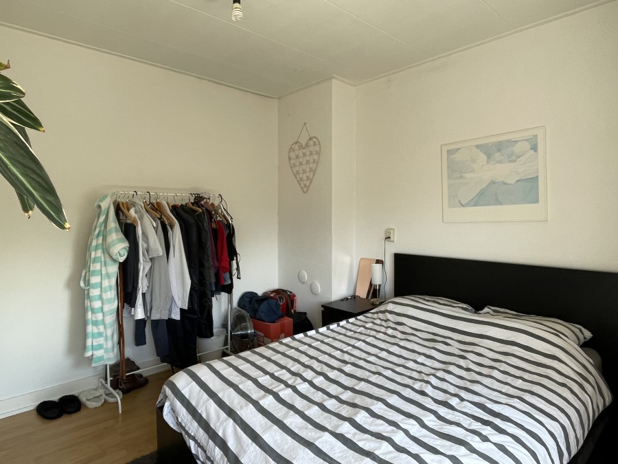 korianderstraat 01