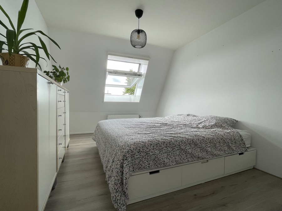 korianderstraat 01