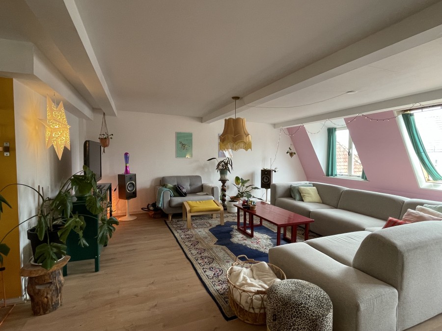 korianderstraat 01