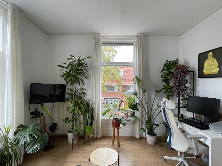 korianderstraat 01