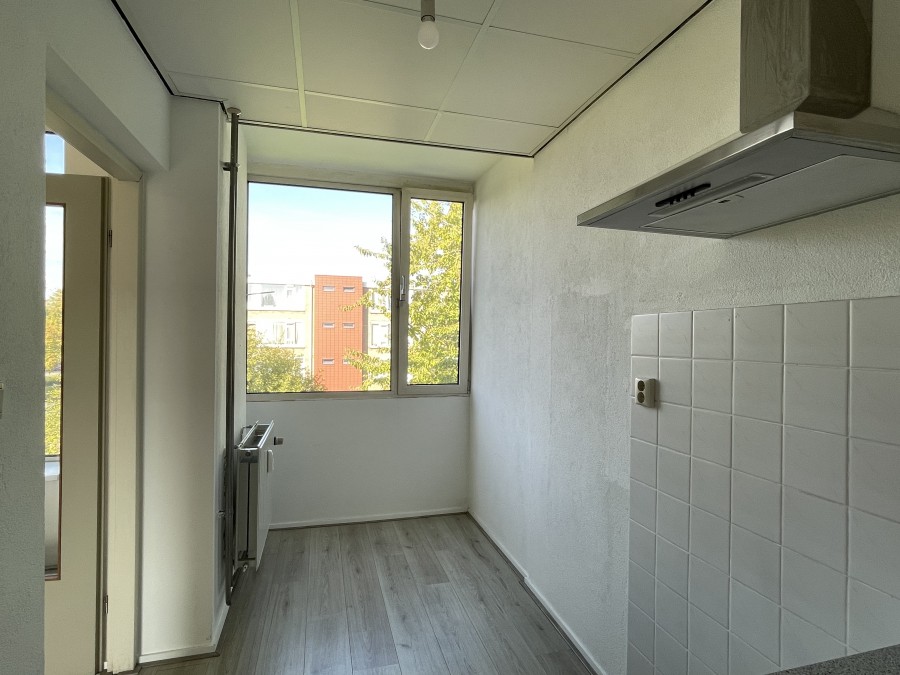 korianderstraat 01