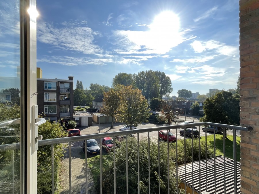 korianderstraat 01