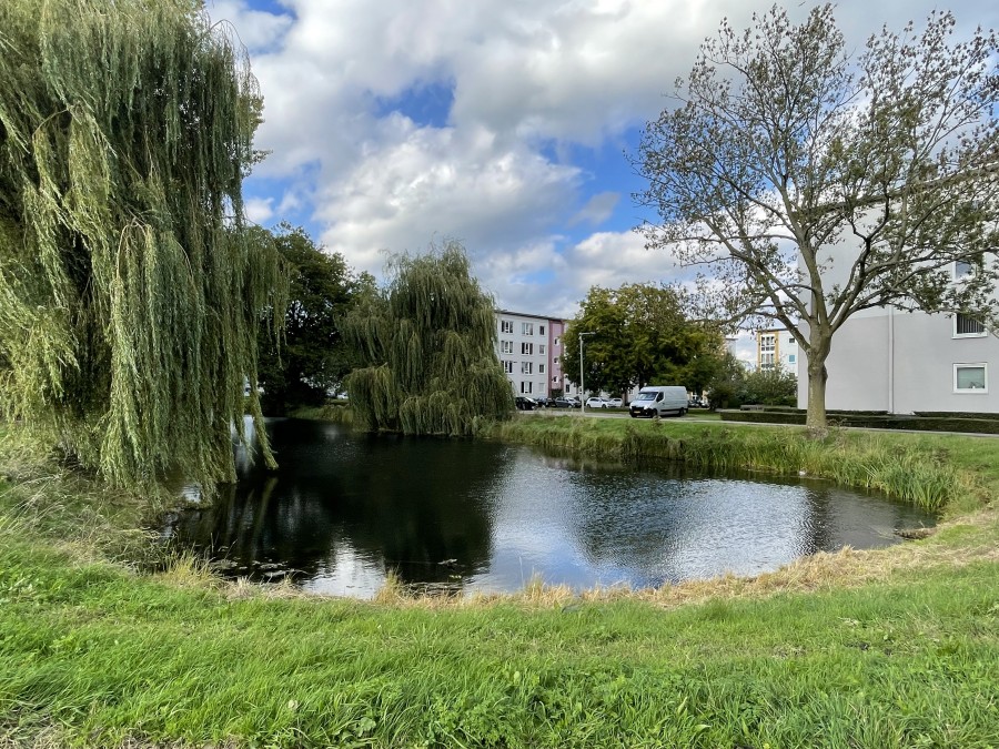 korianderstraat 01