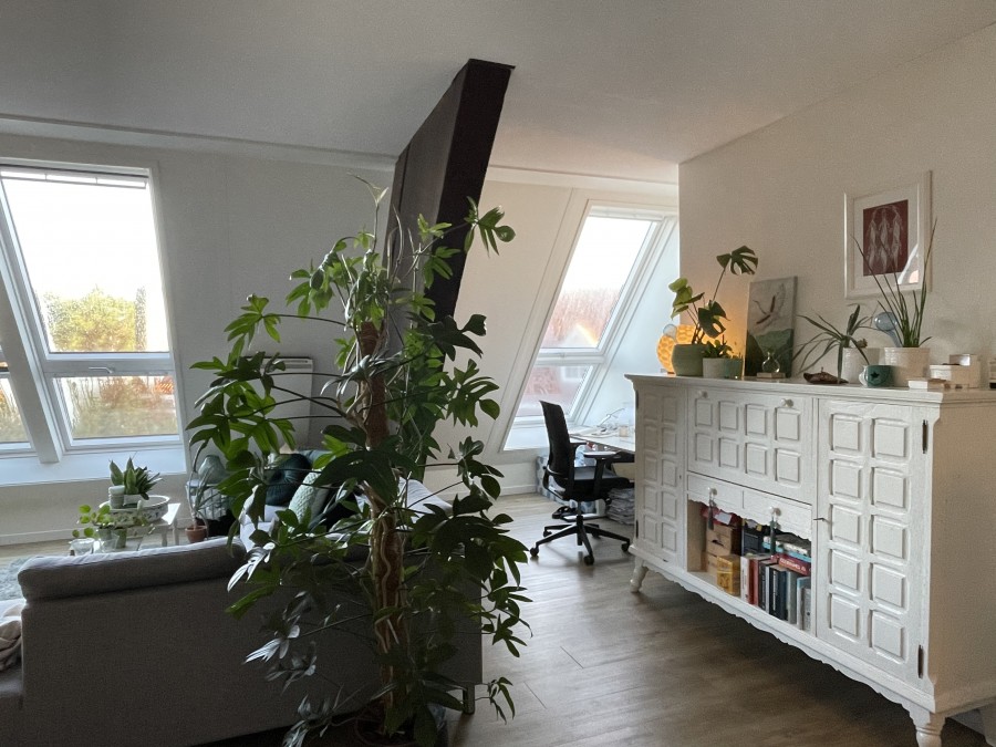 korianderstraat 01