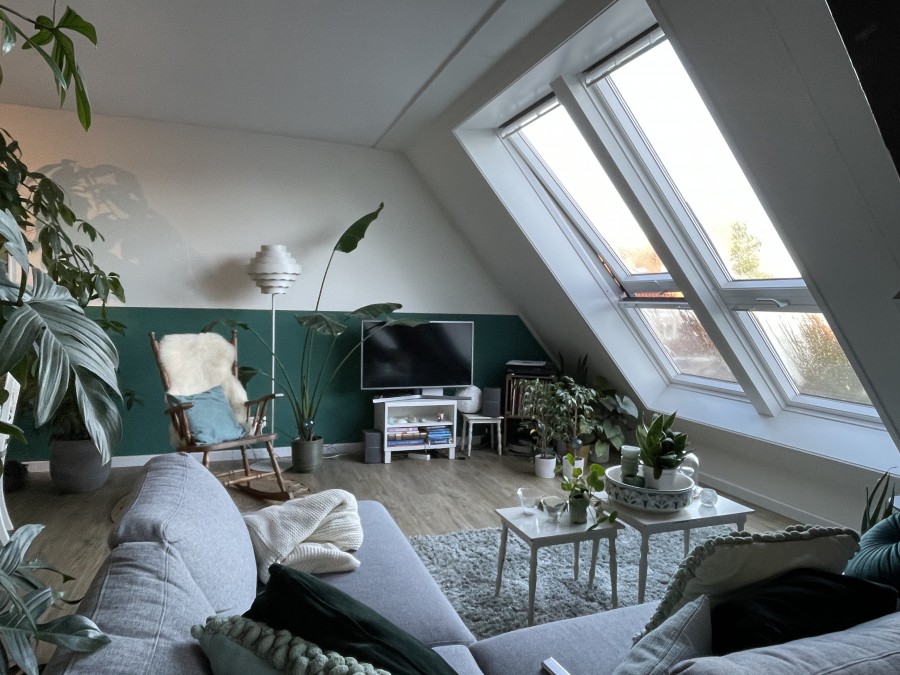 korianderstraat 01