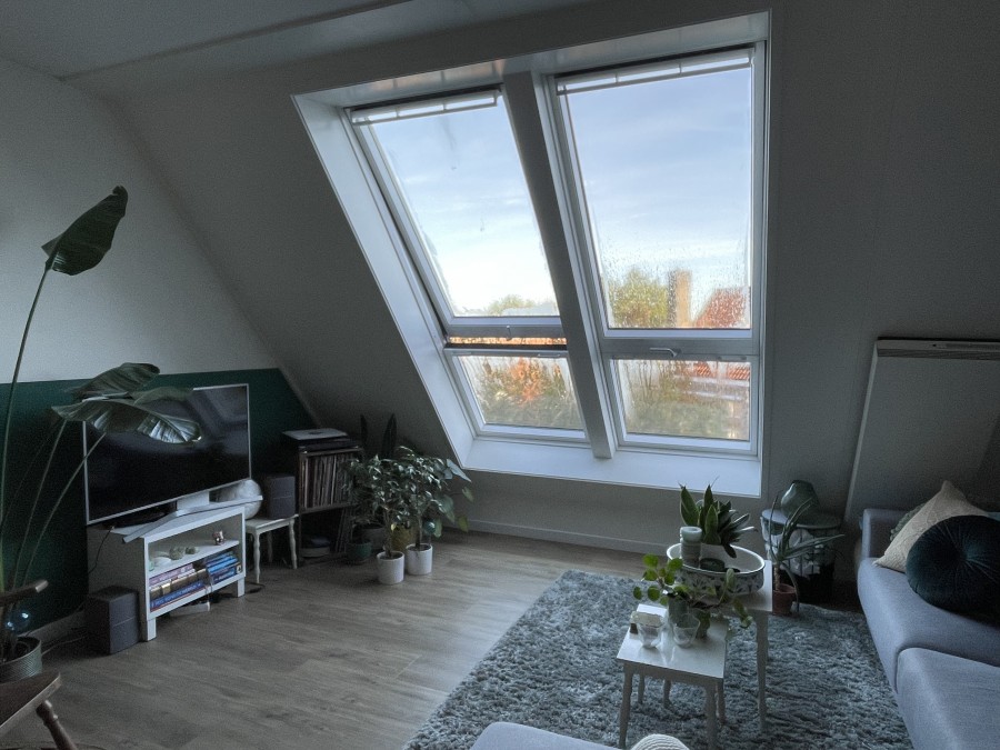 korianderstraat 01