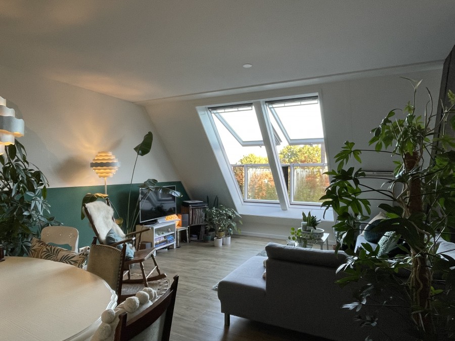 korianderstraat 01