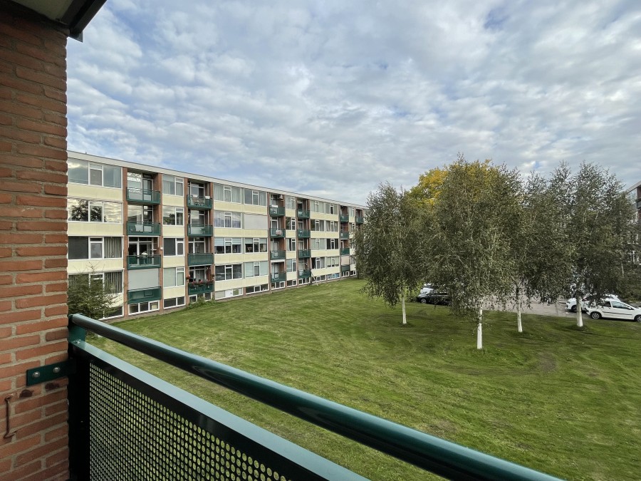 korianderstraat 01