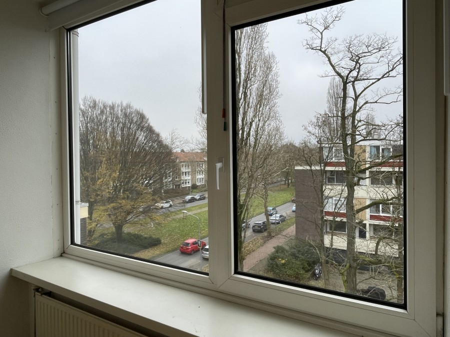 korianderstraat 01