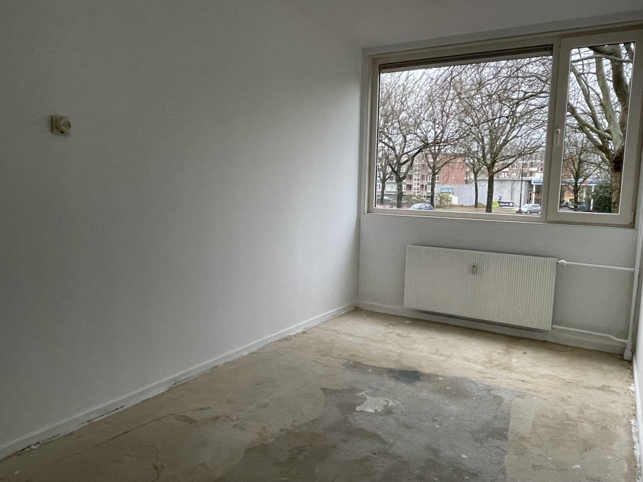 korianderstraat 01