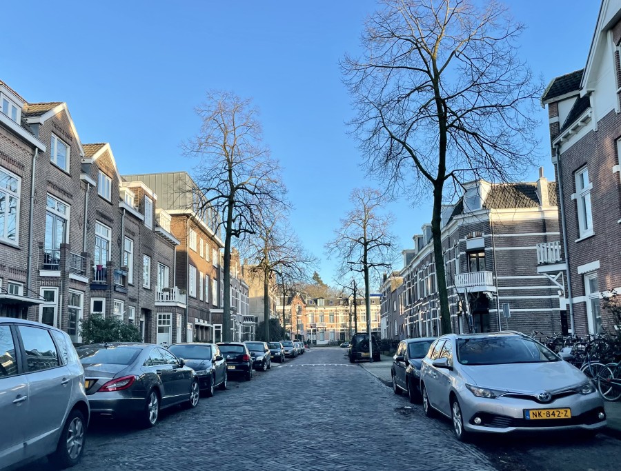 korianderstraat 01