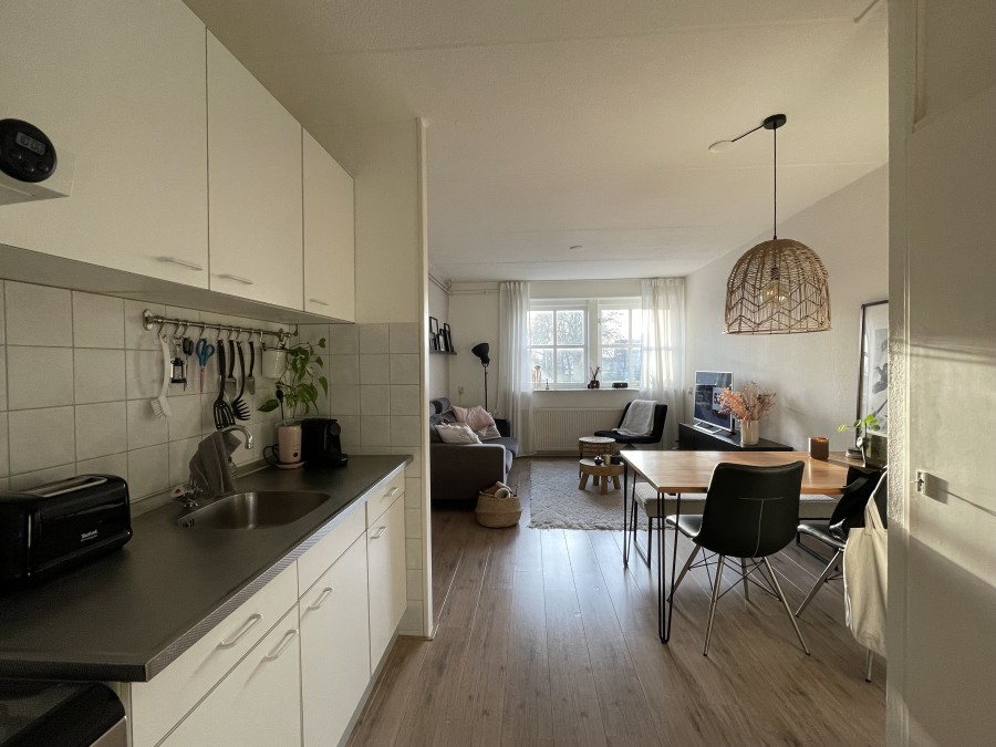 korianderstraat 01