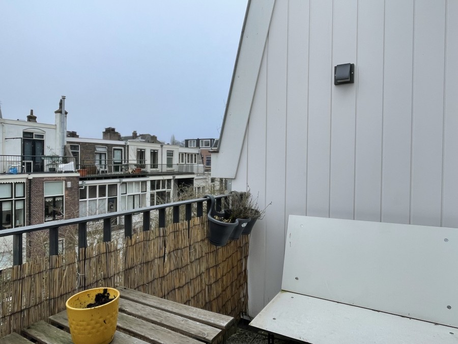 korianderstraat 01