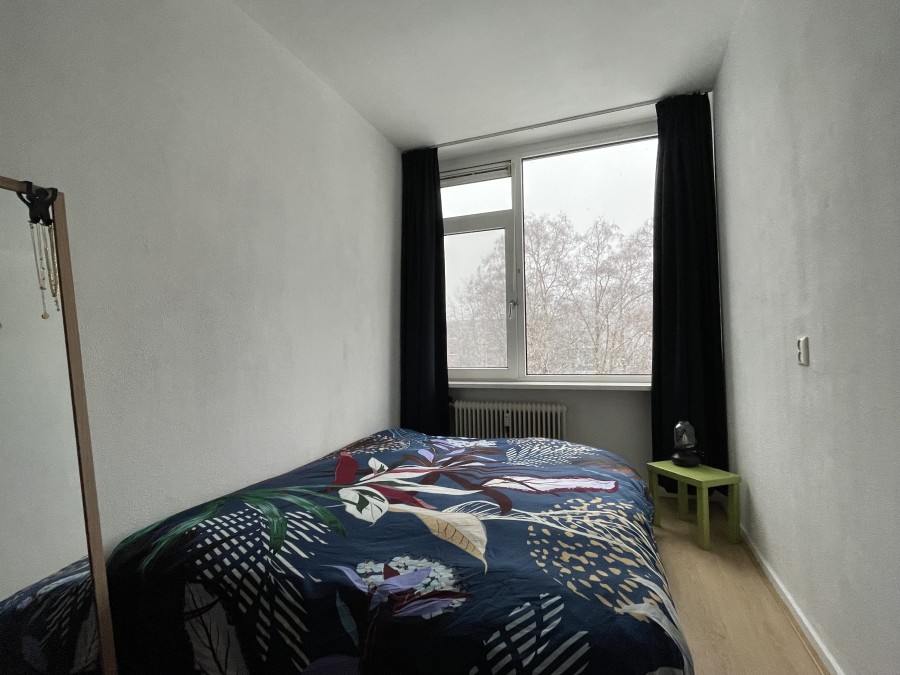 korianderstraat 01
