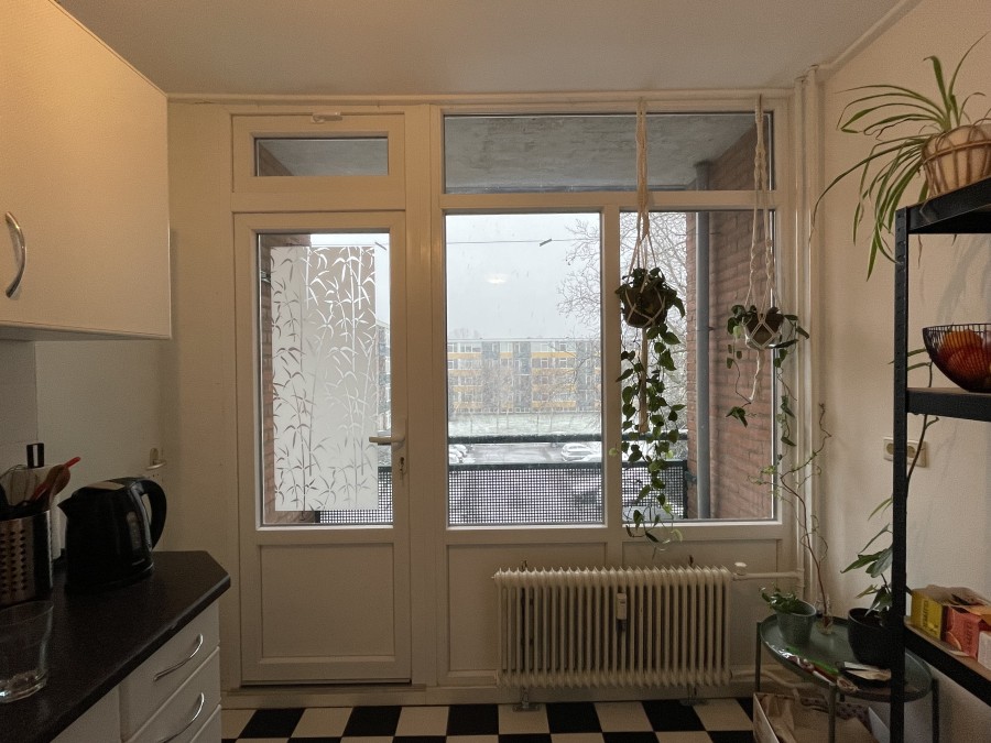 korianderstraat 01