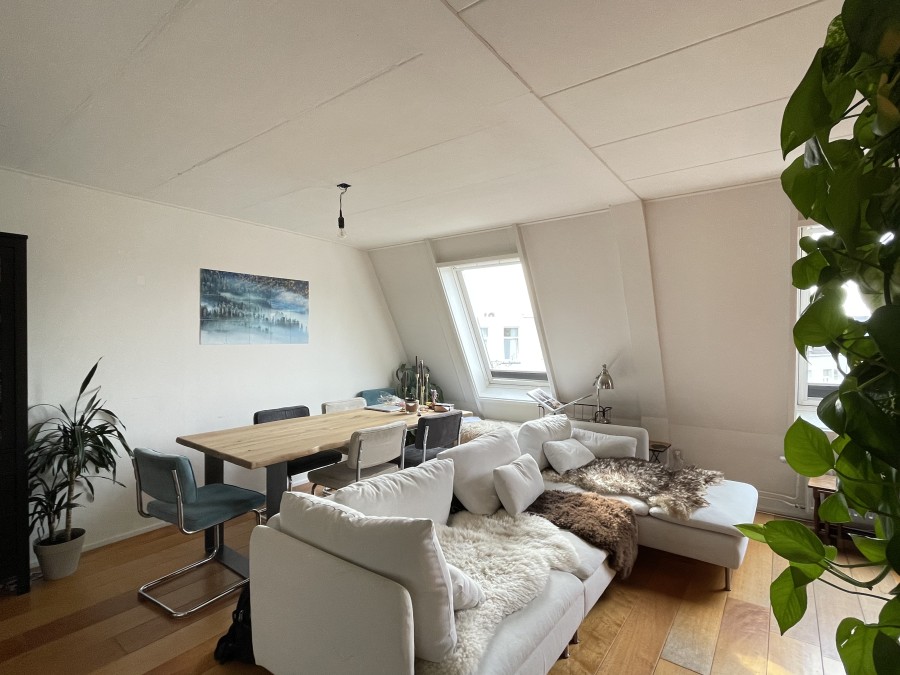 korianderstraat 01