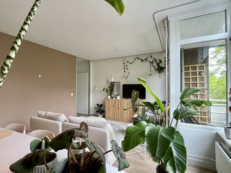 korianderstraat 01