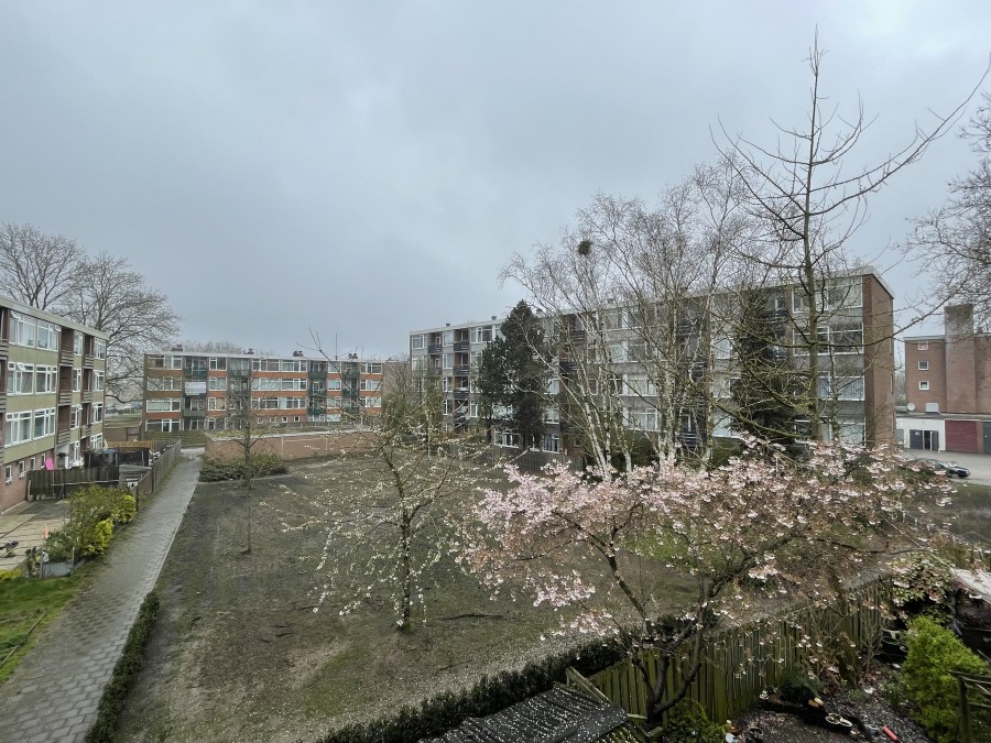 korianderstraat 01