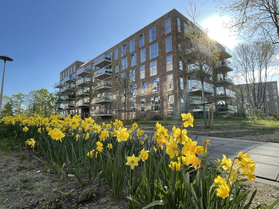 private-rentals for rent on Winklerlaan