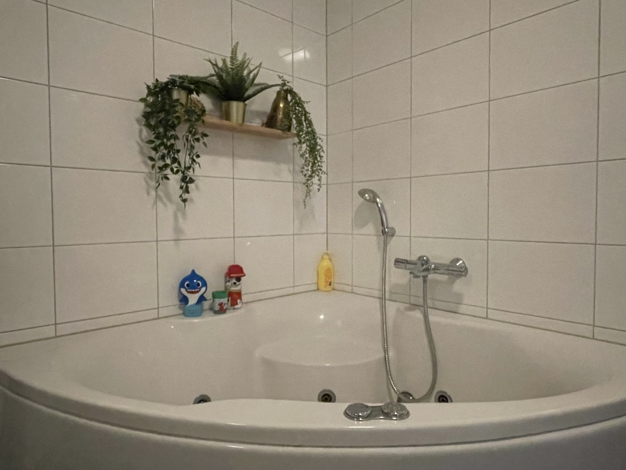 korianderstraat 01