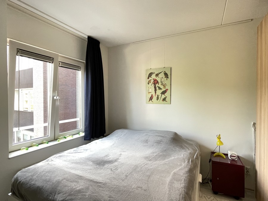 korianderstraat 01