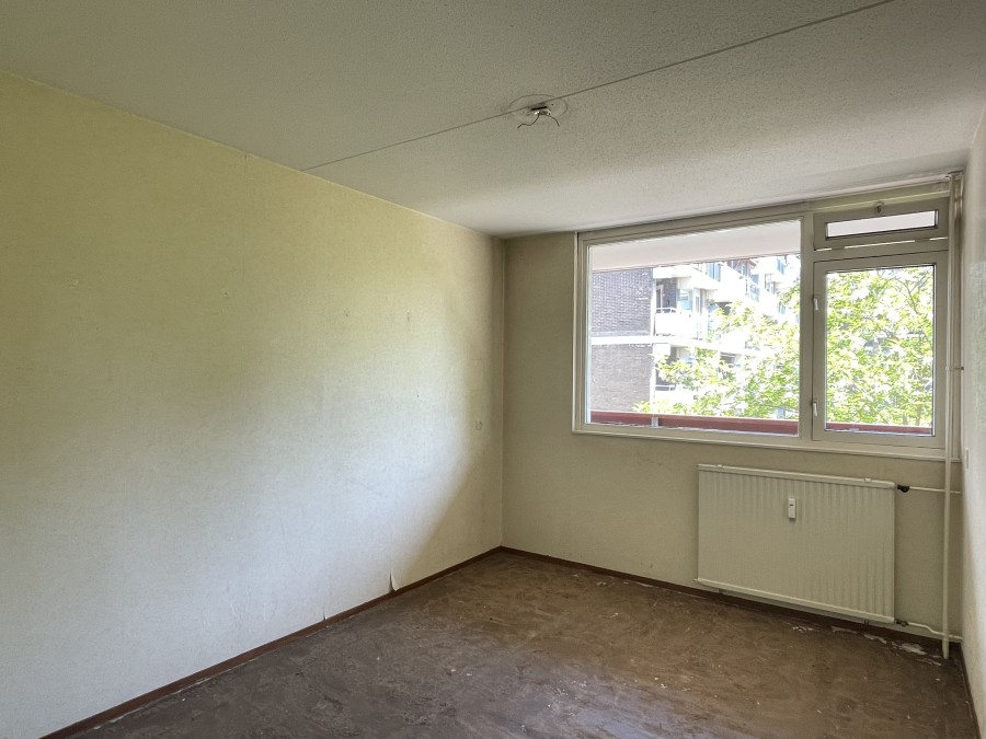 korianderstraat 01