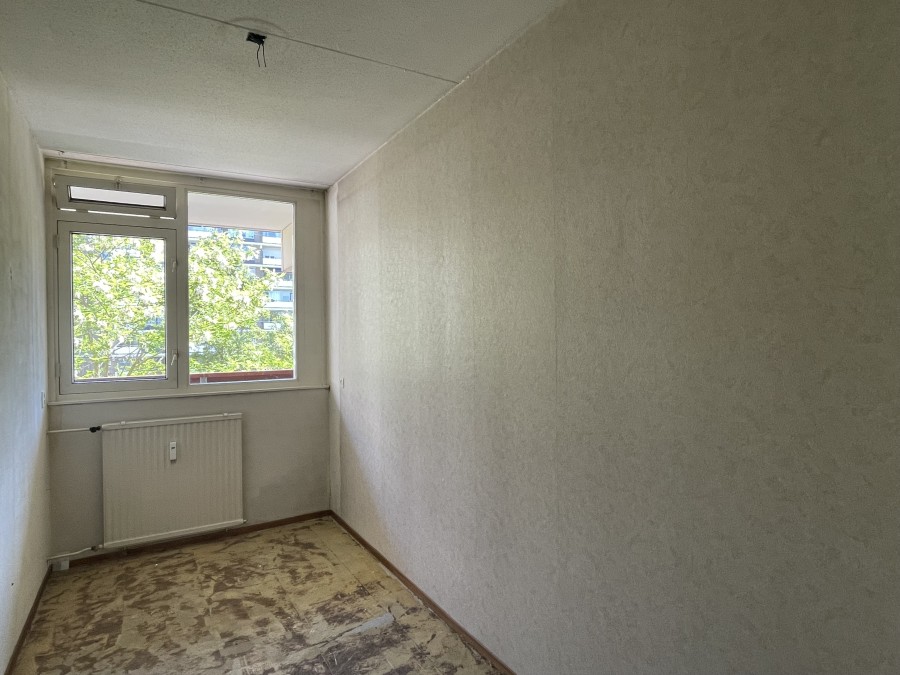 korianderstraat 01