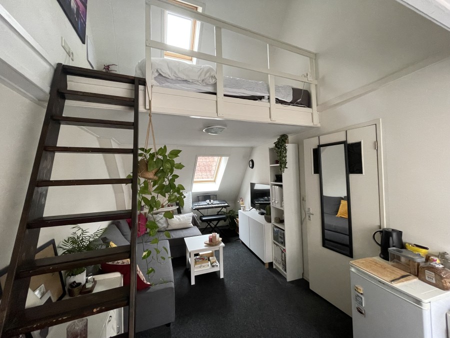 korianderstraat 01