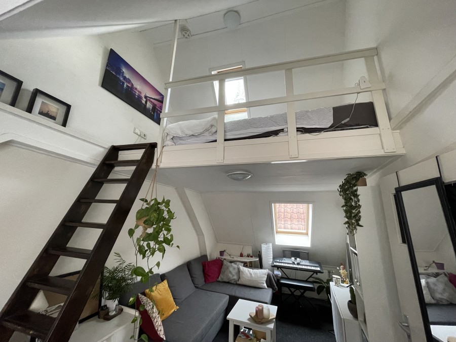 korianderstraat 01
