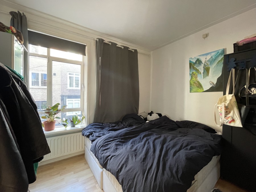 korianderstraat 01
