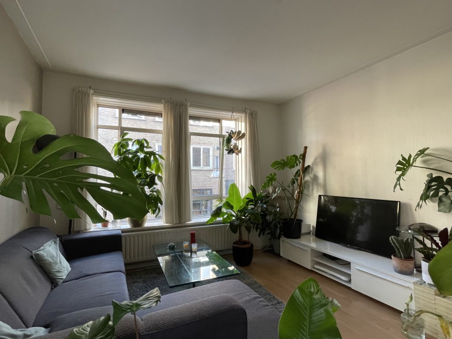 korianderstraat 01