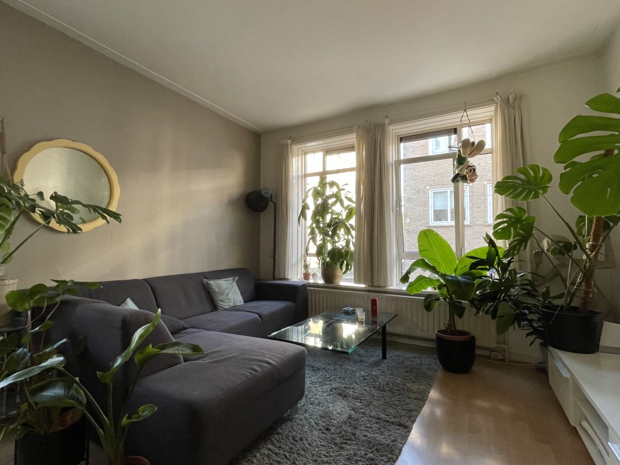 korianderstraat 01