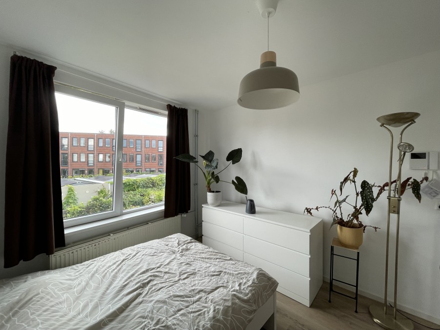 korianderstraat 01