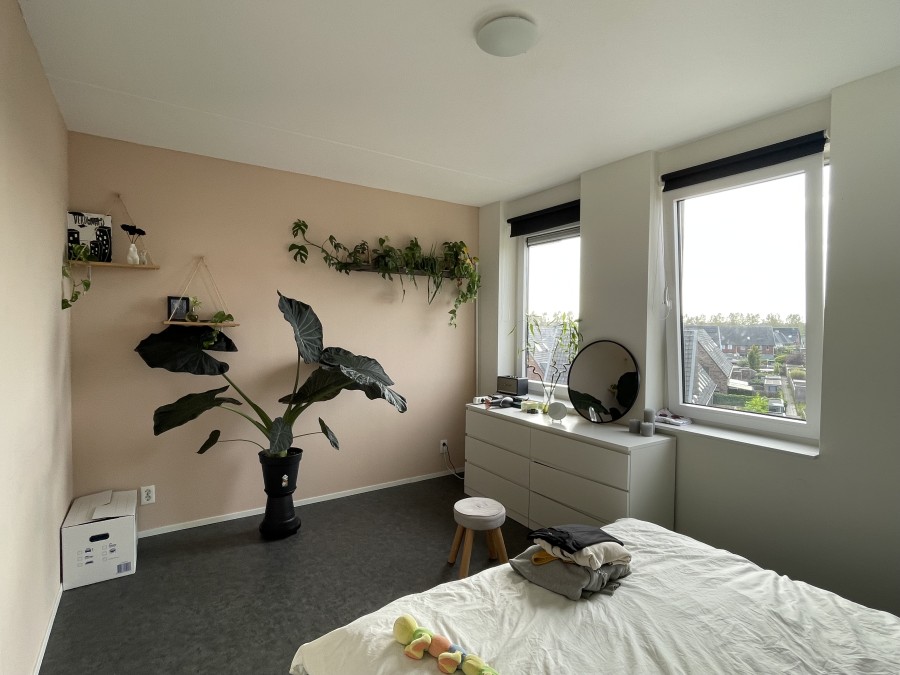 korianderstraat 01
