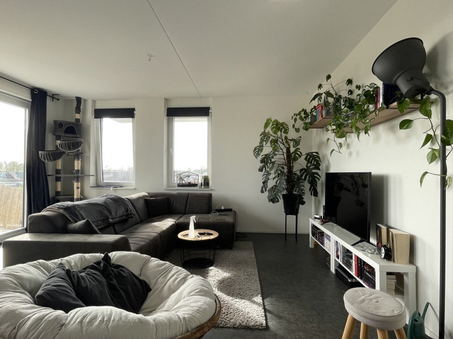 korianderstraat 01