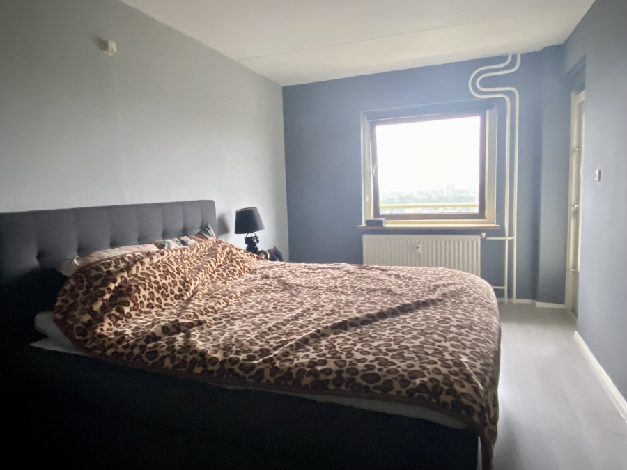 korianderstraat 01