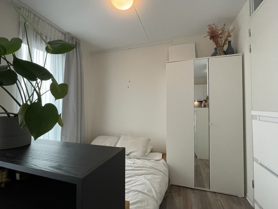 korianderstraat 01