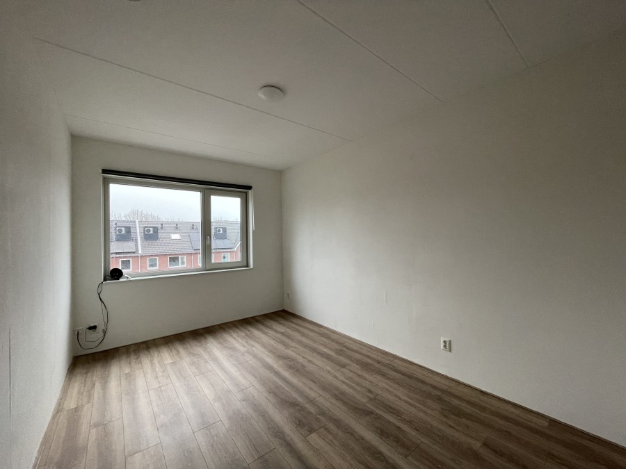 korianderstraat 01