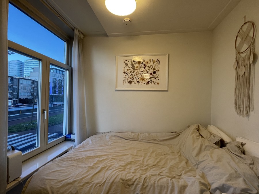 korianderstraat 01