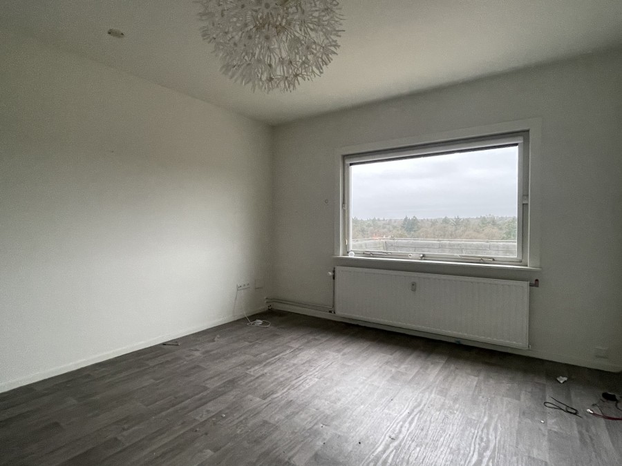 korianderstraat 01