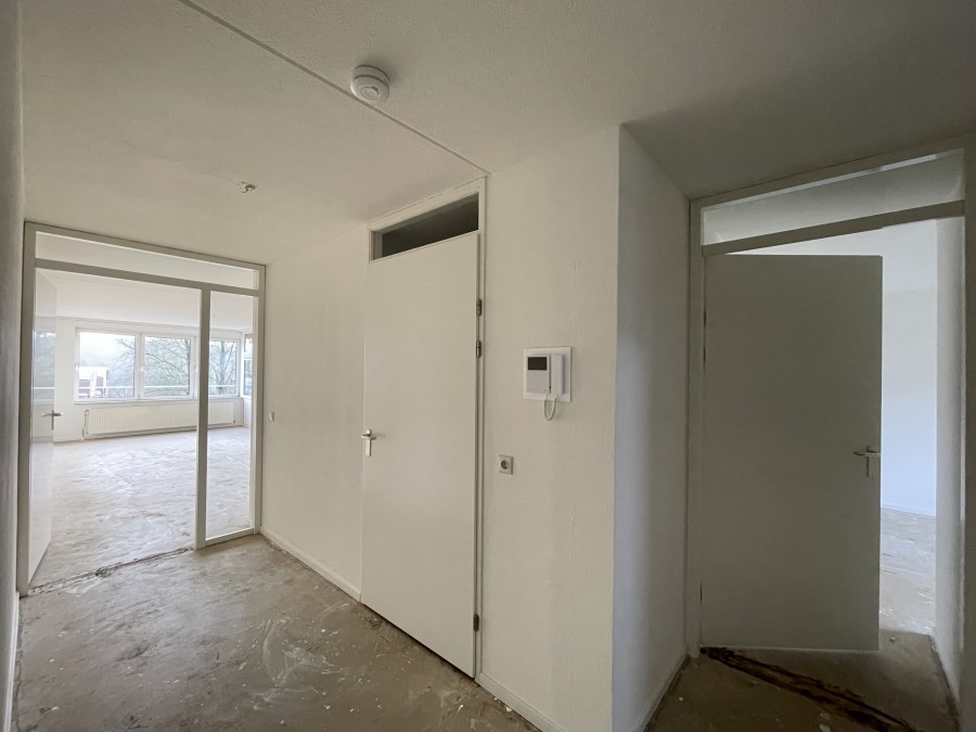 korianderstraat 01
