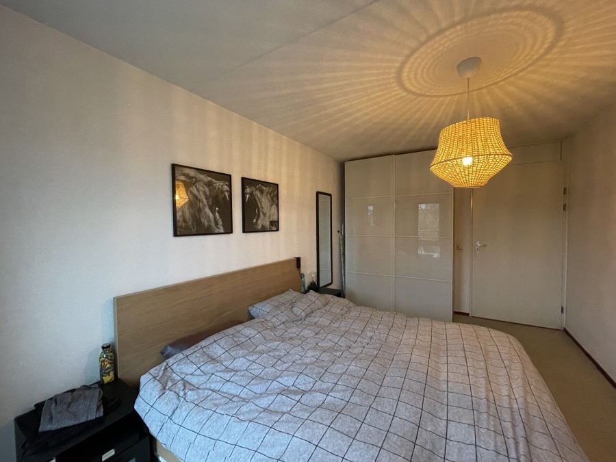 korianderstraat 01