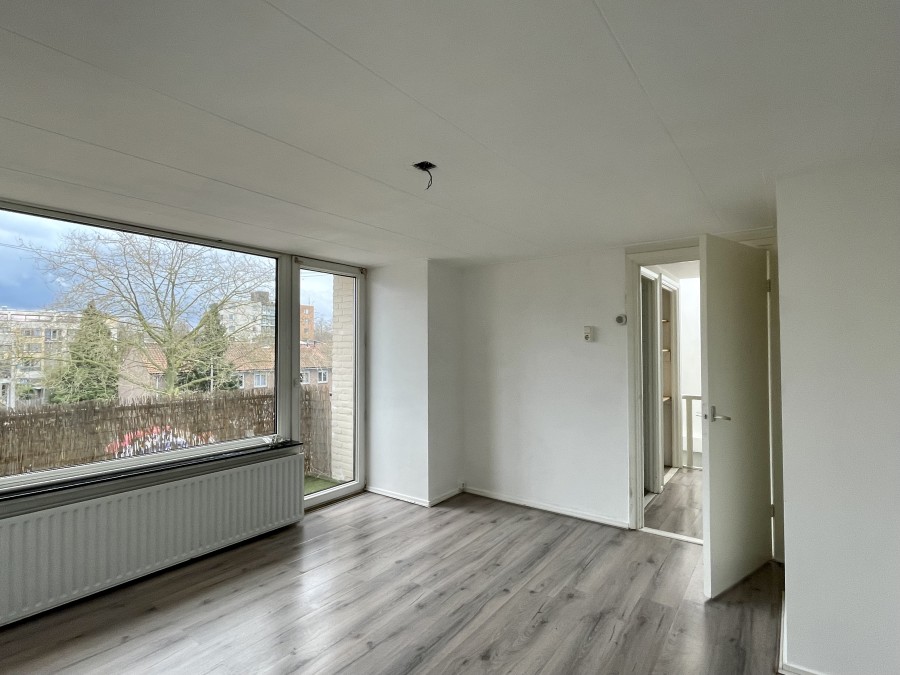 korianderstraat 01