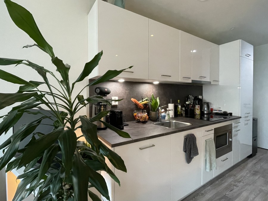 korianderstraat 01