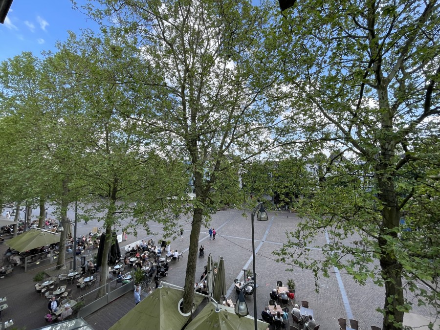korianderstraat 01